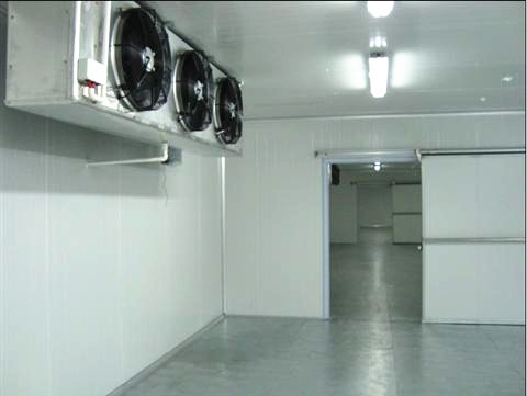 建一個冷庫要多少錢