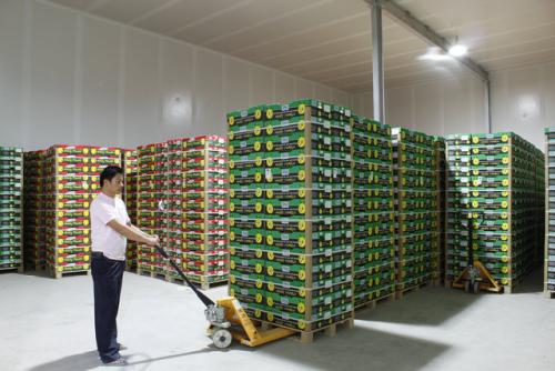 秭歸果業800m³氣調冷庫安裝工程案例