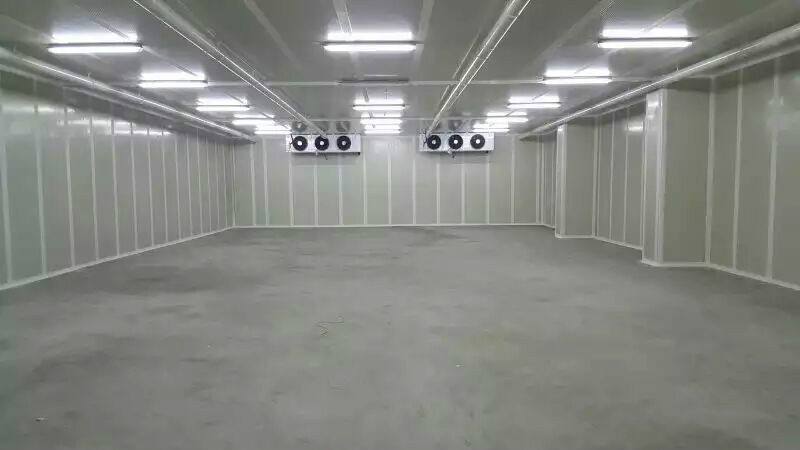 小型冷庫造價分析