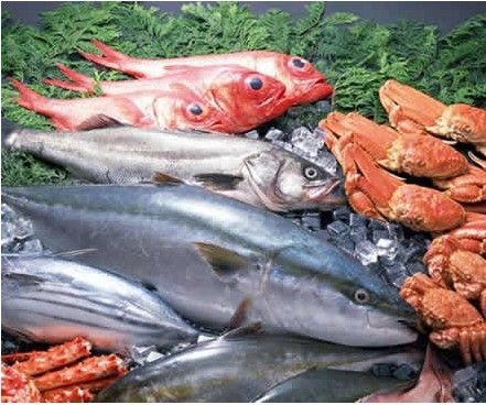 海鮮冷庫注意事項